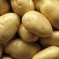 batatas – Receita de Viagem