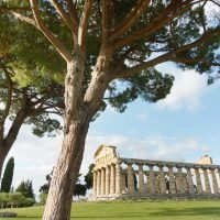 Paestum – Receita de Viagem (175)