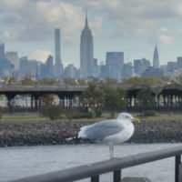 Viagem para Nova York – Receita de Viagem (23)